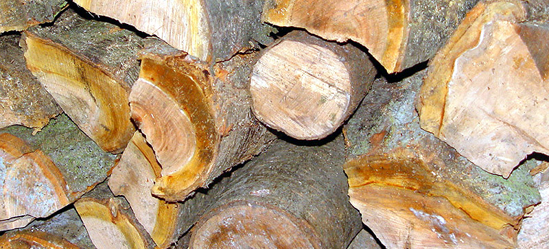 drewno opałowe do kominka