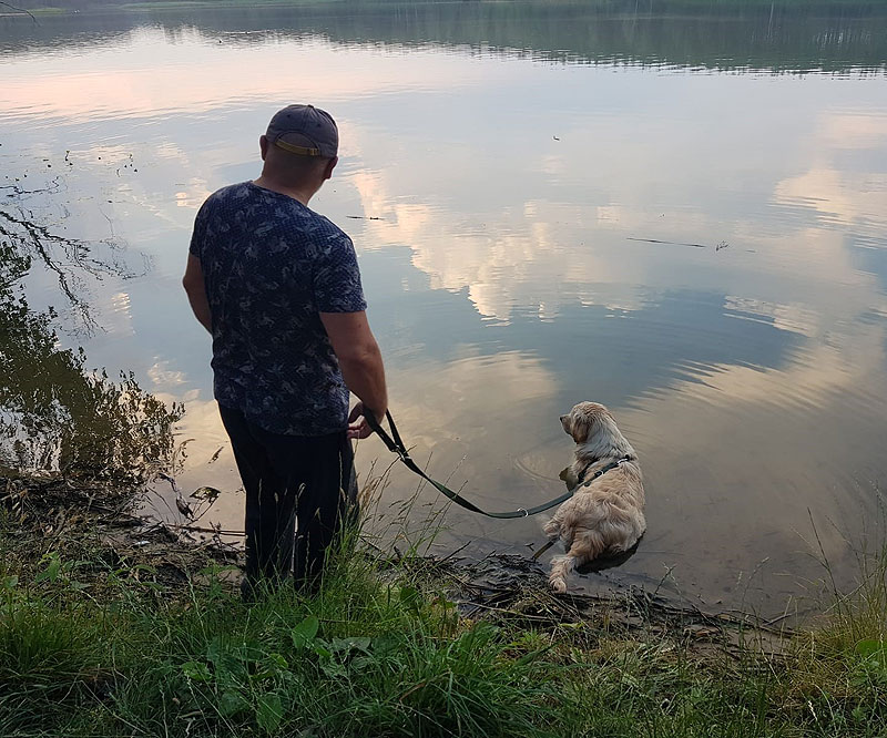 dogoterapia to aktywność z psem