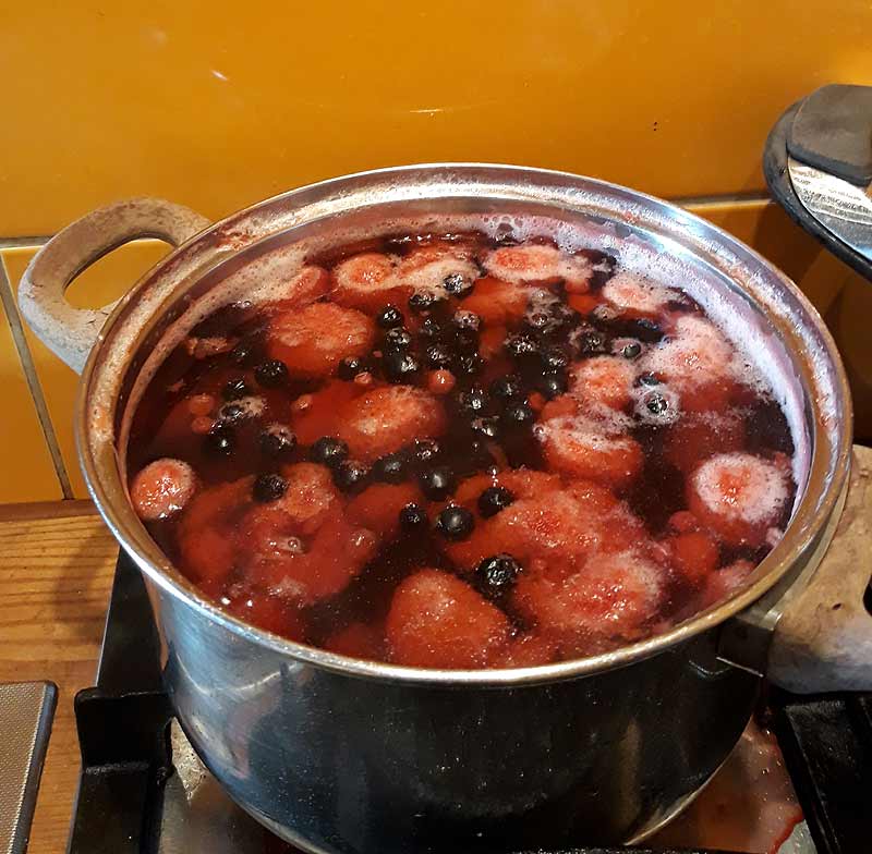 kompot