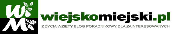 Blog wiejski, blog miejski, blog czarodziejski. wiejskomiejski.pl