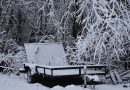 przyczepa samochodowa