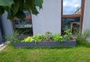 Kwiaty na słoneczny balkon